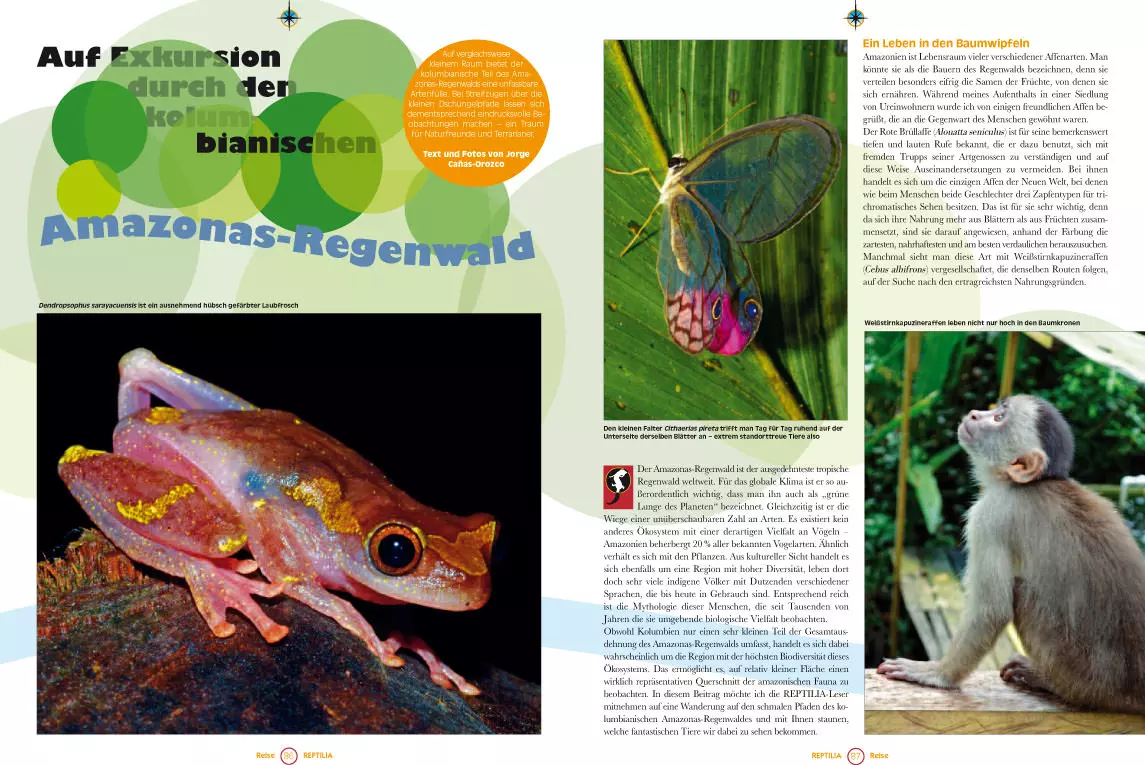 reptilia-115-2 Reptilia 115 - Nattern für das Terrarium