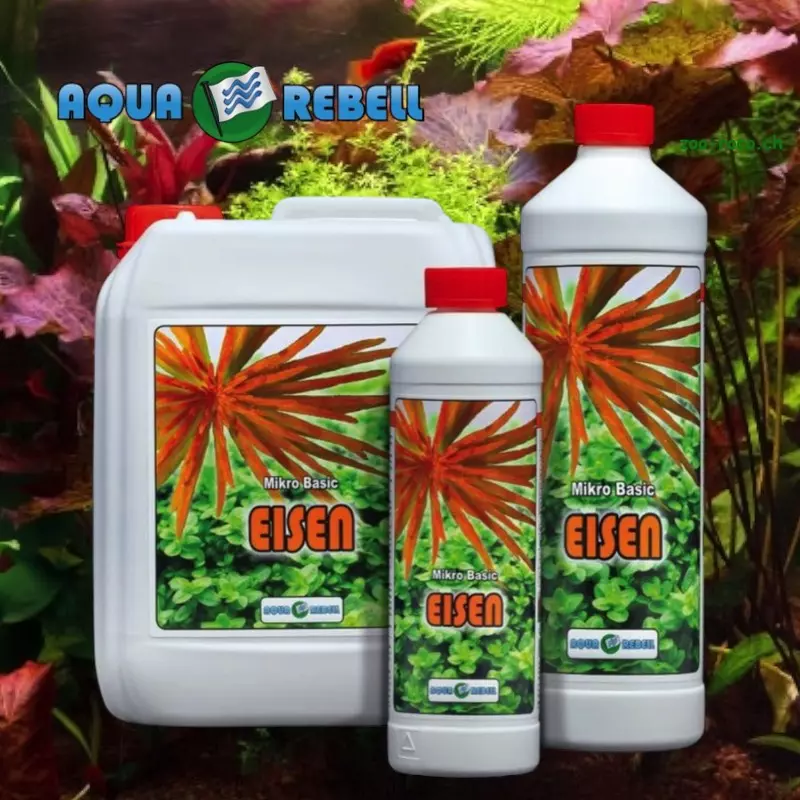 Aqua Rebell Basic Mikro Eisen