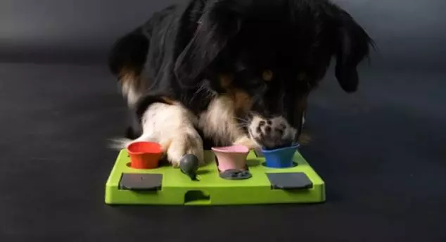 Eat Slow Live Longer Puzzle Rectangle