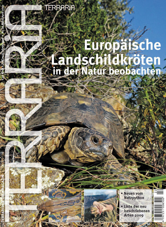 Terraria Nr. 22 - Europäische Landschildkröten in der Natur beobachten