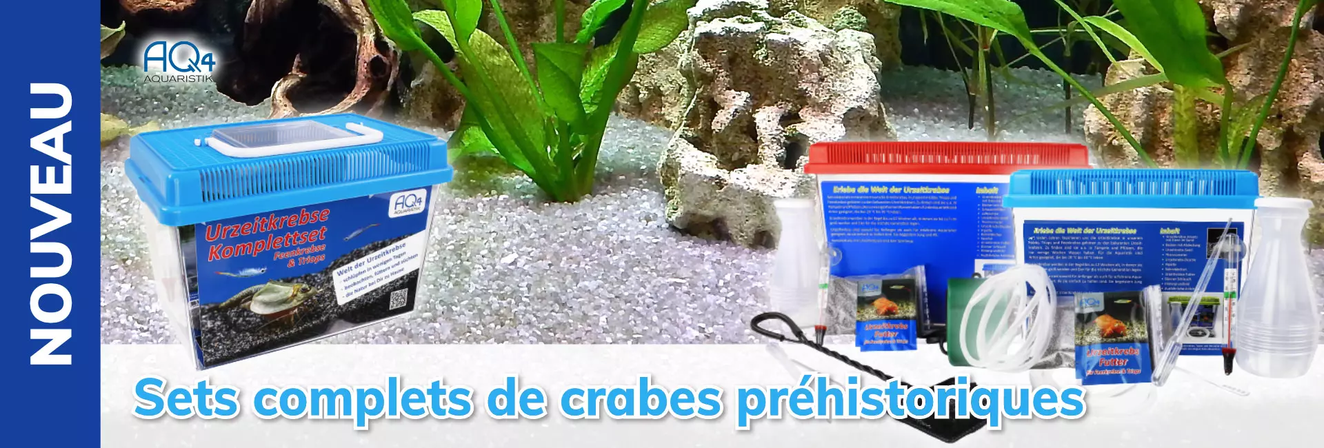 AQ4Aquaristik Sets complets de crabes préhistoriques
