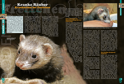 Rodentia 55 - Clickertraining für Kleintiere