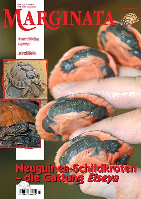 Marginata 69 - Neuguinea-Schildkröten