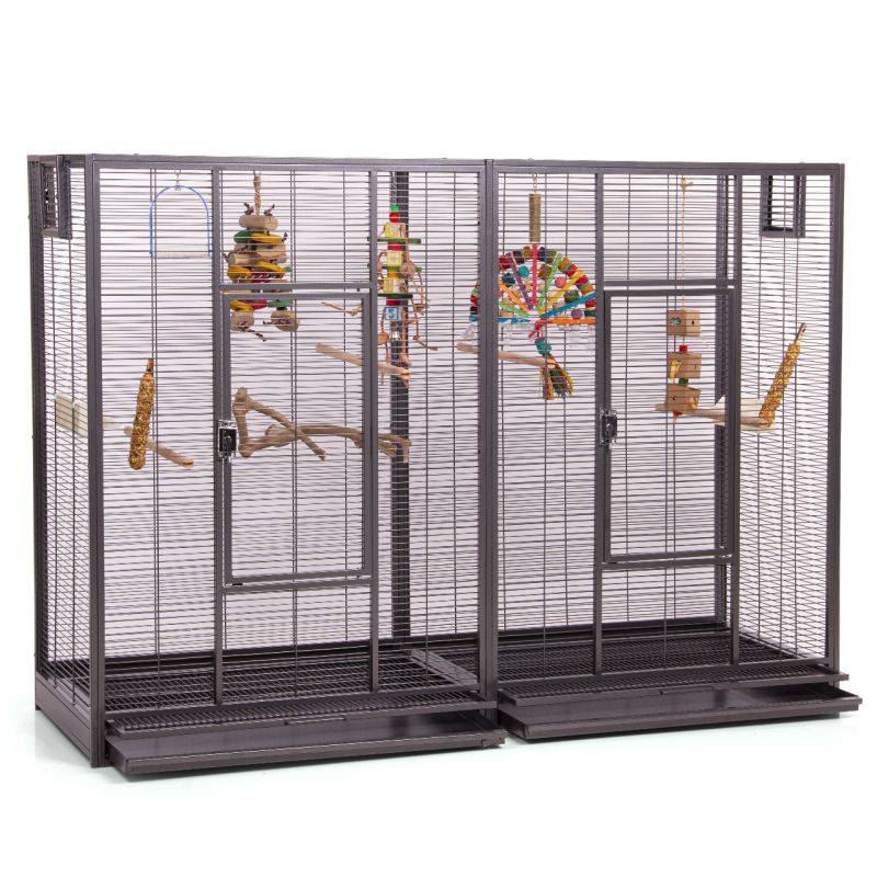 Oiseaux Cages - Melbourne II