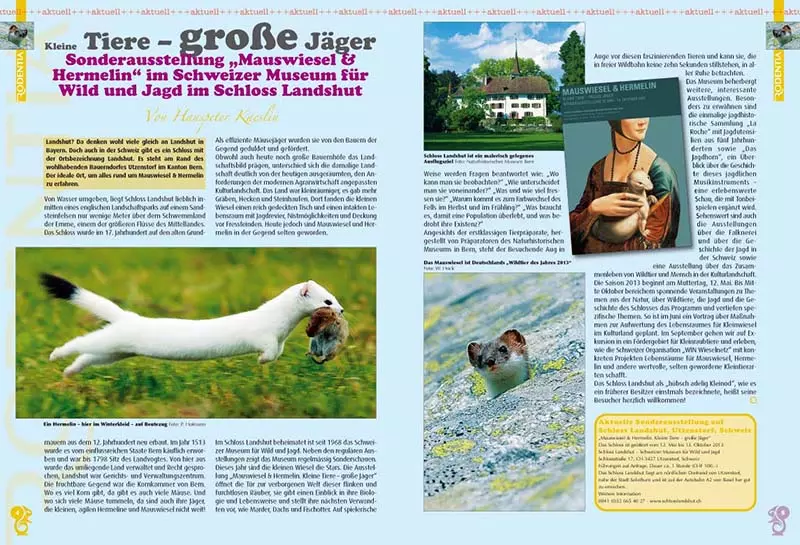 rodentia-73-1 Rodentia 73 - Luxuriöse Geheger für Nager und Kaninchen