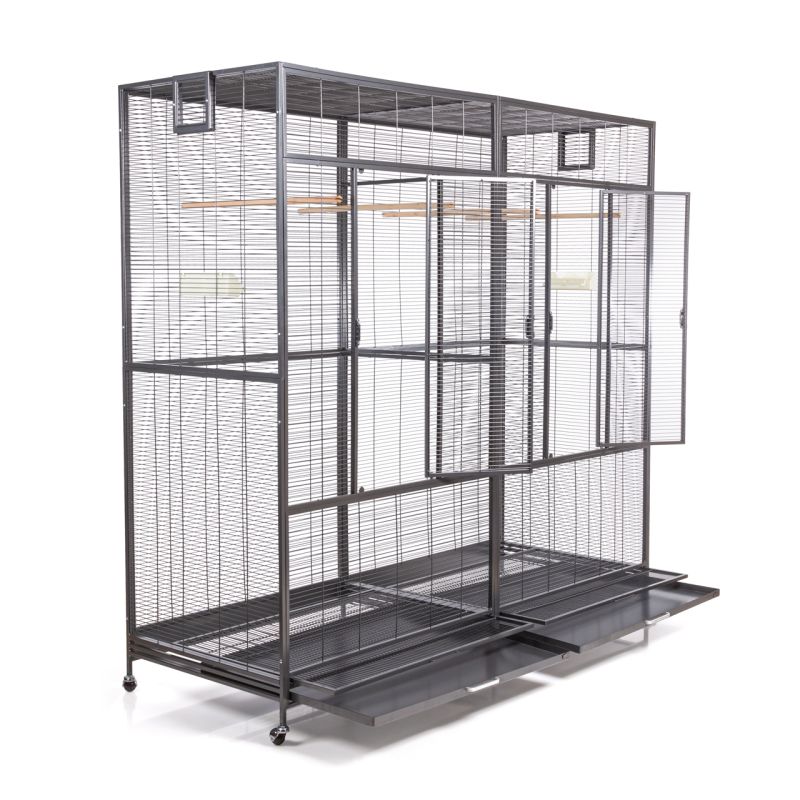 Voliere New Sydney II