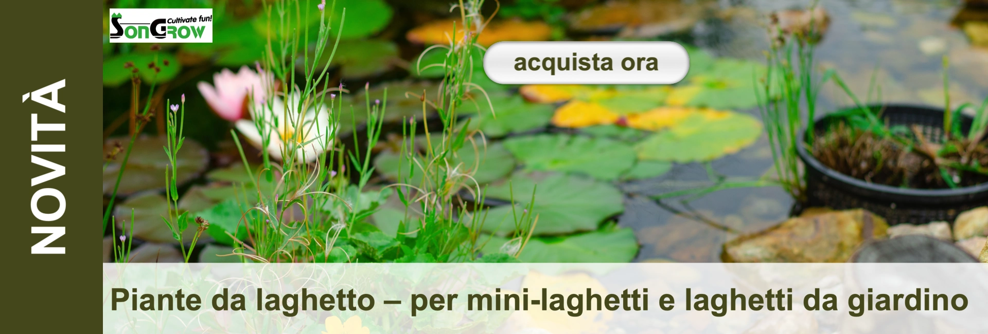 Zona del laghetto con una grande varietà di piante acquatiche. In primo piano si ergono steli verdi con delicati fiori rosa. Sull'acqua galleggiano foglie di ninfea verde chiaro e un fiore rosa pallido. A destra, un cesto nero per piante.