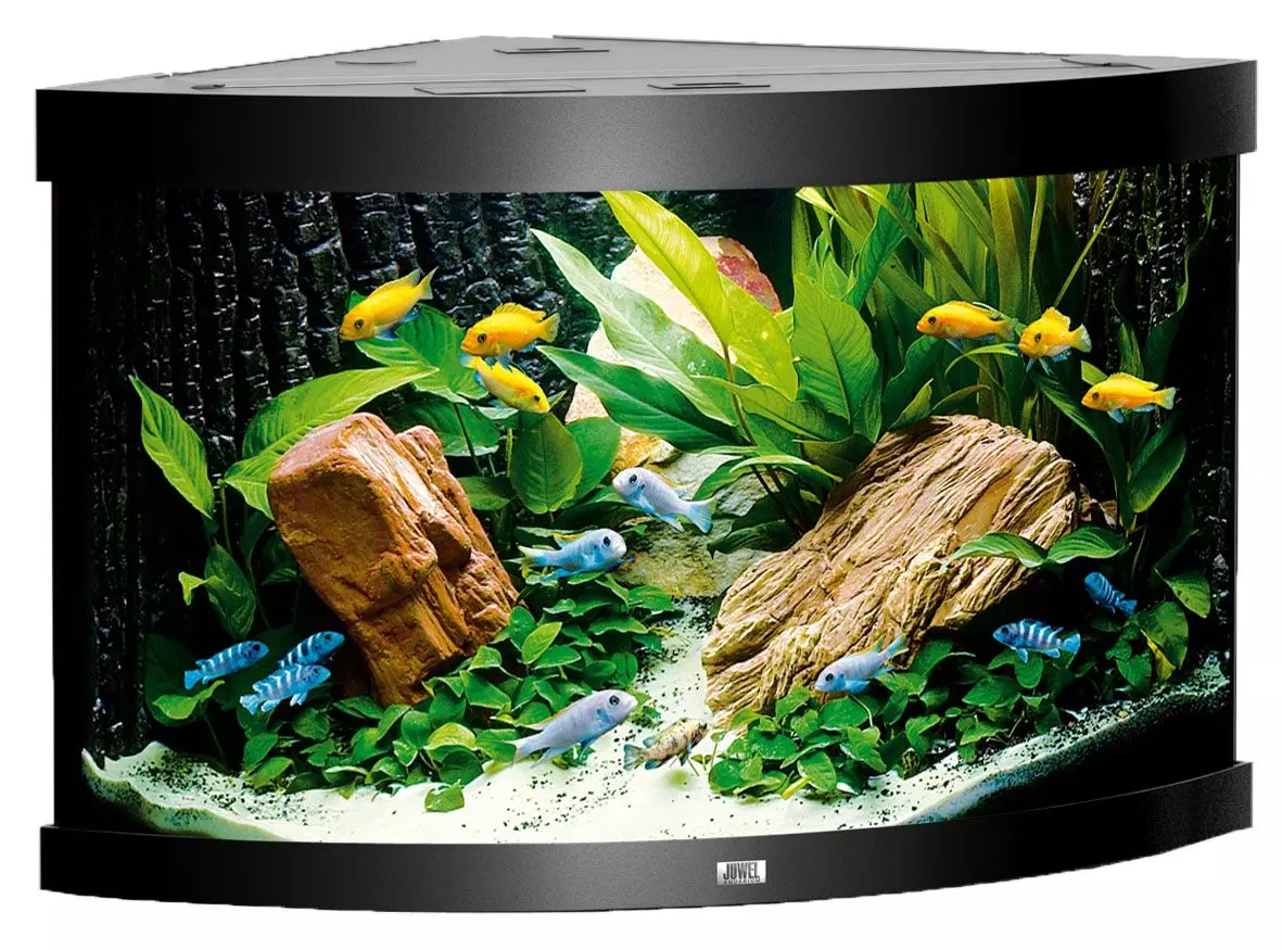 juwel-trigon-190-schwarz-1 Juwel Trigon Aquarium