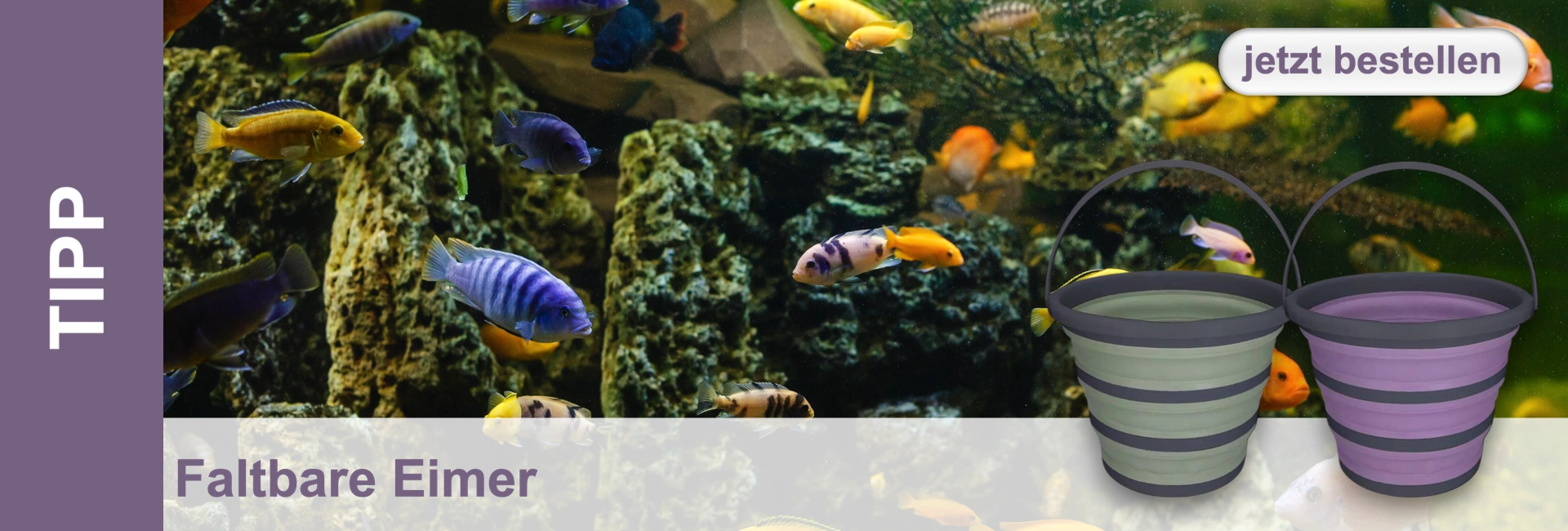 Farbenfrohes Aquarium mit gelben, blauen und gestreiften Süßwasserfischen (Cichliden), die zwischen Felsdeko und Pflanzen schwimmen. Im Vordergrund zwei faltbare Eimer in Hellgrün und Helllila mit Streifen und Henkeln.