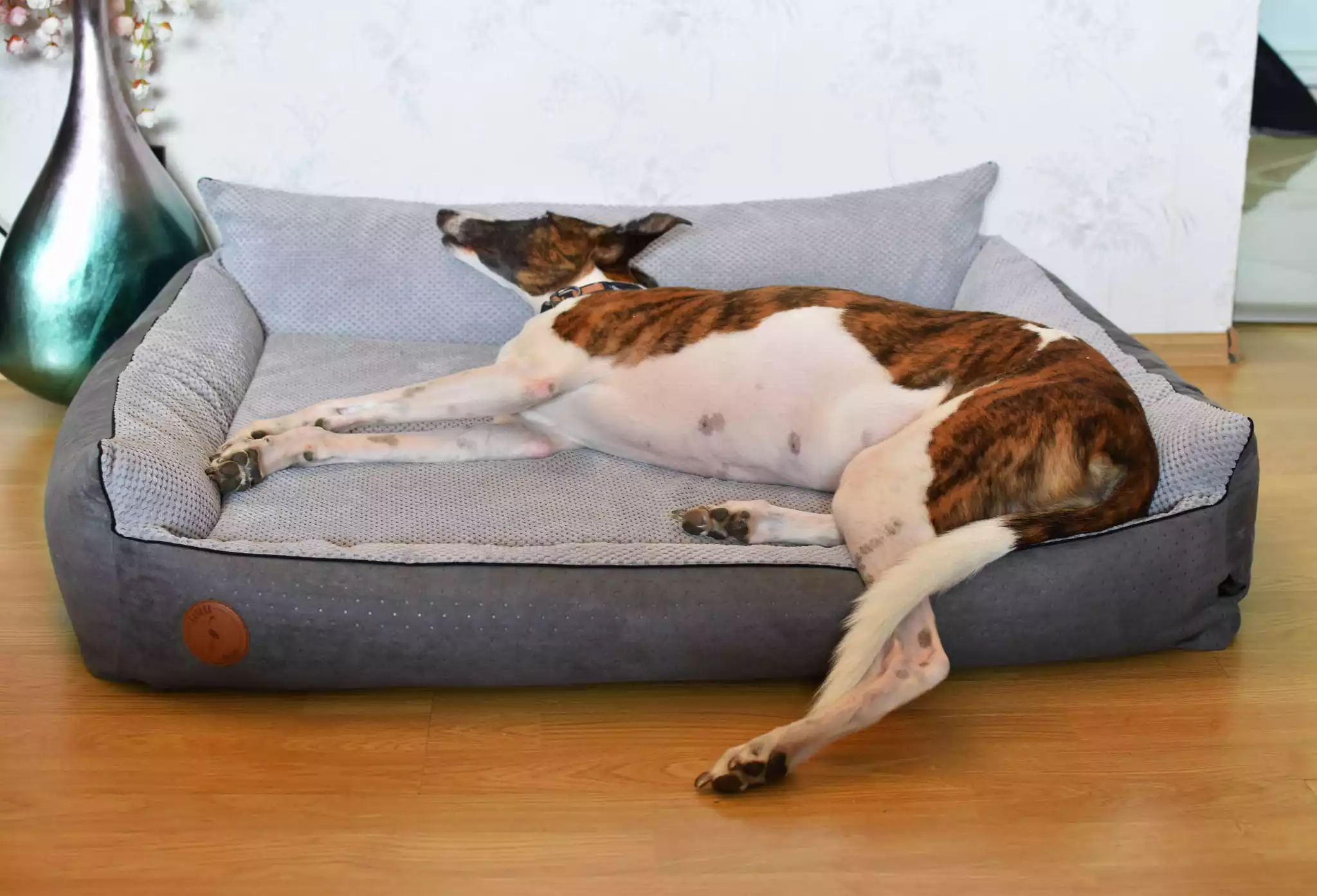 ROCKY Lit orthopédique pour chien - gris ROCKY Lit orthopédique pour chien - gris