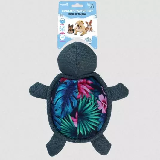 Surf's Up Tortue 