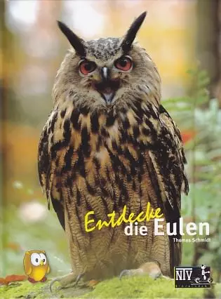NTV, Discover the owls