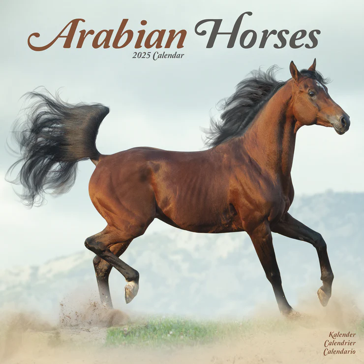 Calendrier 2025 Arabes