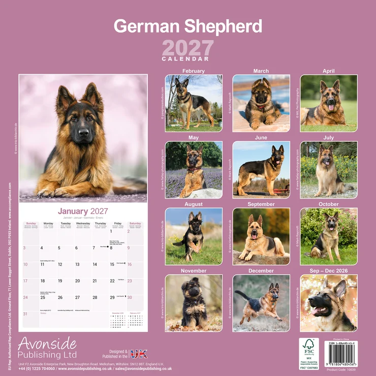 Kalender 2027 Deutscher Schäferhund - German Shepherd
