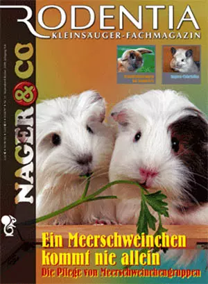 Rodentia Nager&Co Nr. 51, Ein Meerschweinchen kommt nie allein