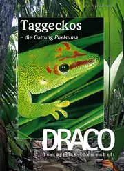 Draco 43 - Taggeckos