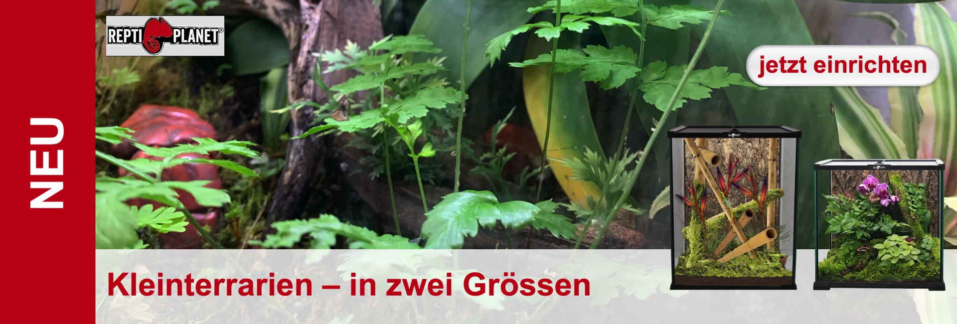 Promo Repti Planet Terrario