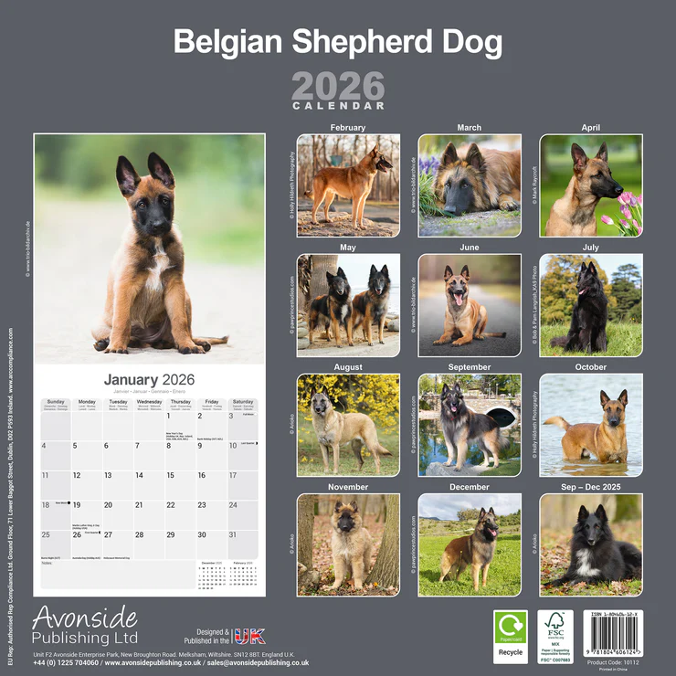 Calendar 2025 Belgian Shepherd Dog