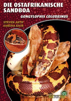 Die ostafrikanische Sandboa