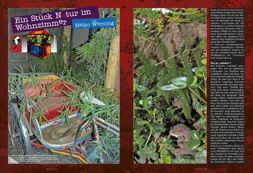 Reptilia 84 - Naturnahe Terrarien