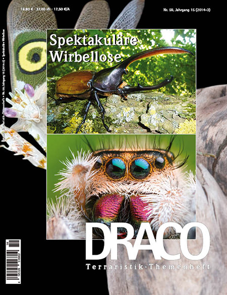 Draco 59 - Spektakuläre Wirbellose
