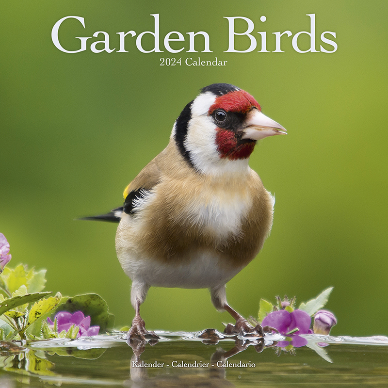 Calendrier 2024 - Oiseaux de jardin