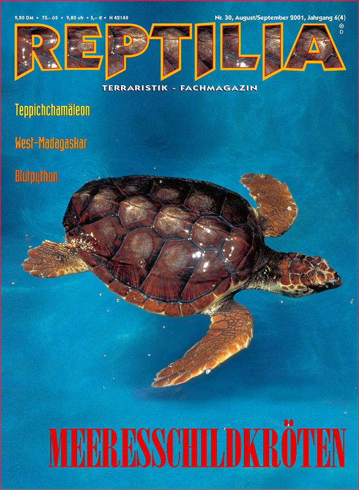 Reptilia 30 - Meeresschildkröten