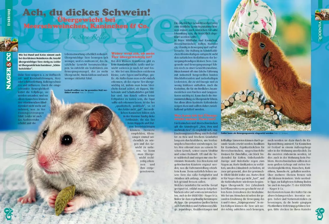 rodentia-78-kleintier-docs-2 Rodentia 78 - Kleinter-Doc's