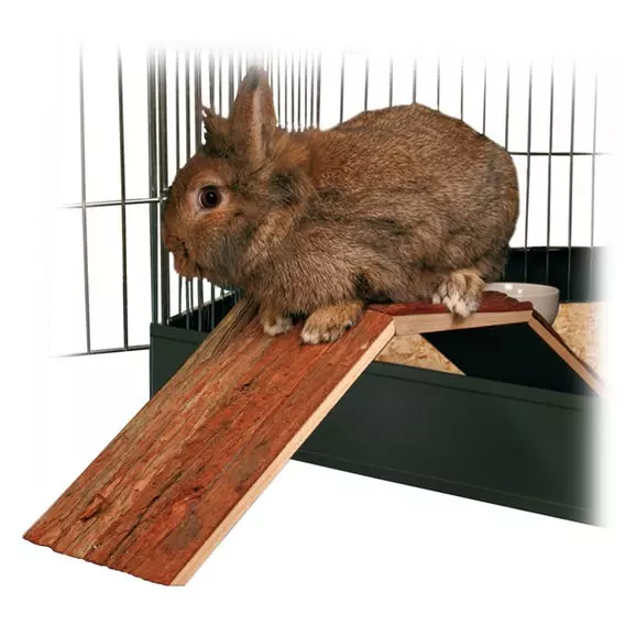 Brücke für Kaninchen und Meerschweinchen