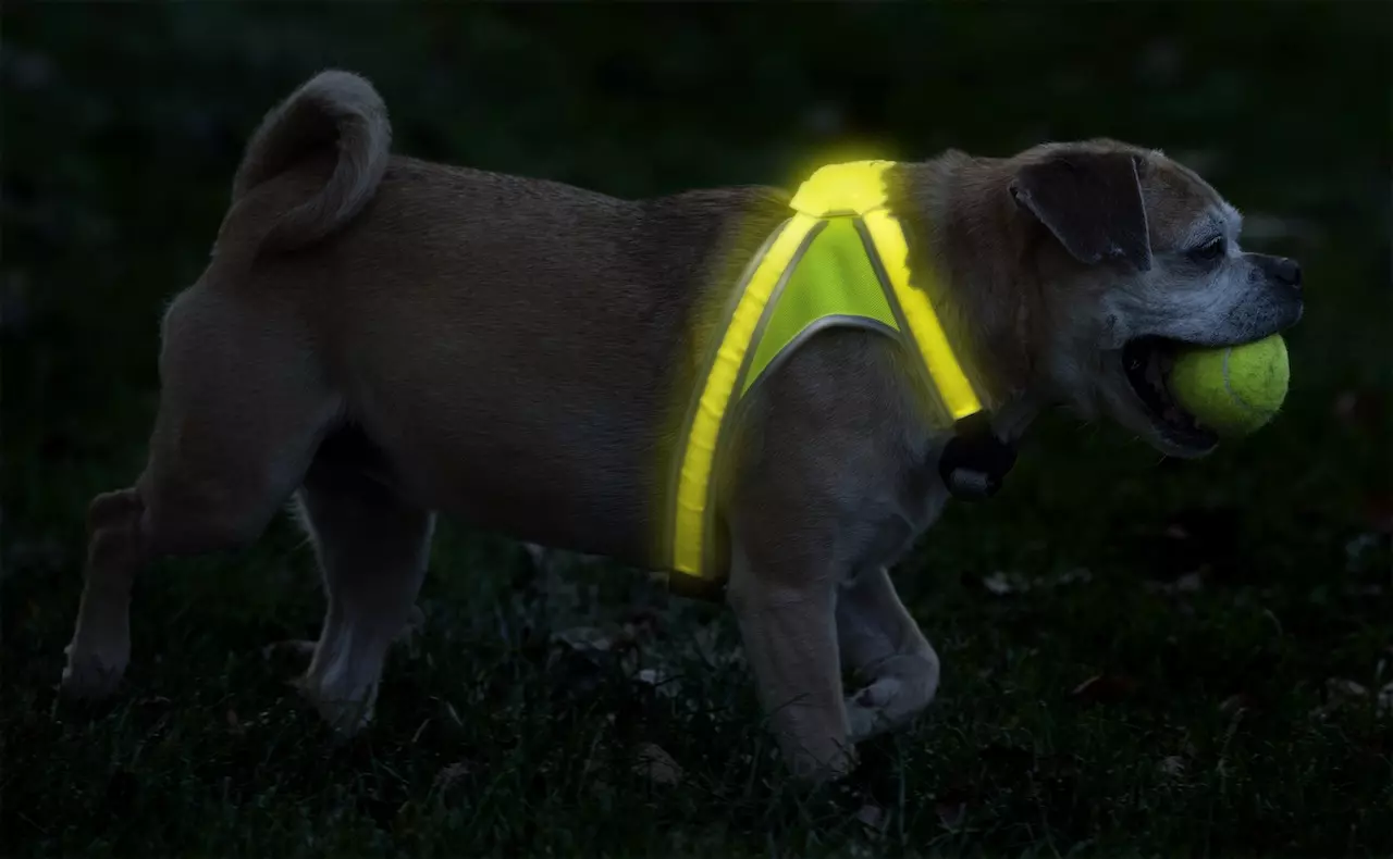 lighthound-leuchtgeschirr-gelb Noxgear Lighthound Geschirr
