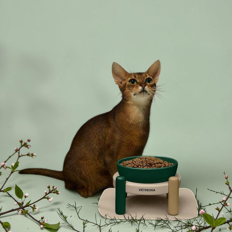 Un chat d'Abyssinie élégant à côté du set de gamelles Vetreska Santal Forest : support en bambou surélevé avec gamelle en céramique vert foncé remplie de croquettes, sur tapis en silicone beige clair. Branches fleuries, fond vert menthe.