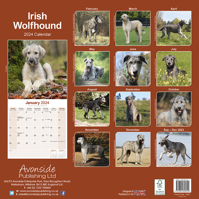 Calendar 2024 Irischer Wolfshund - Irish Wolfhound