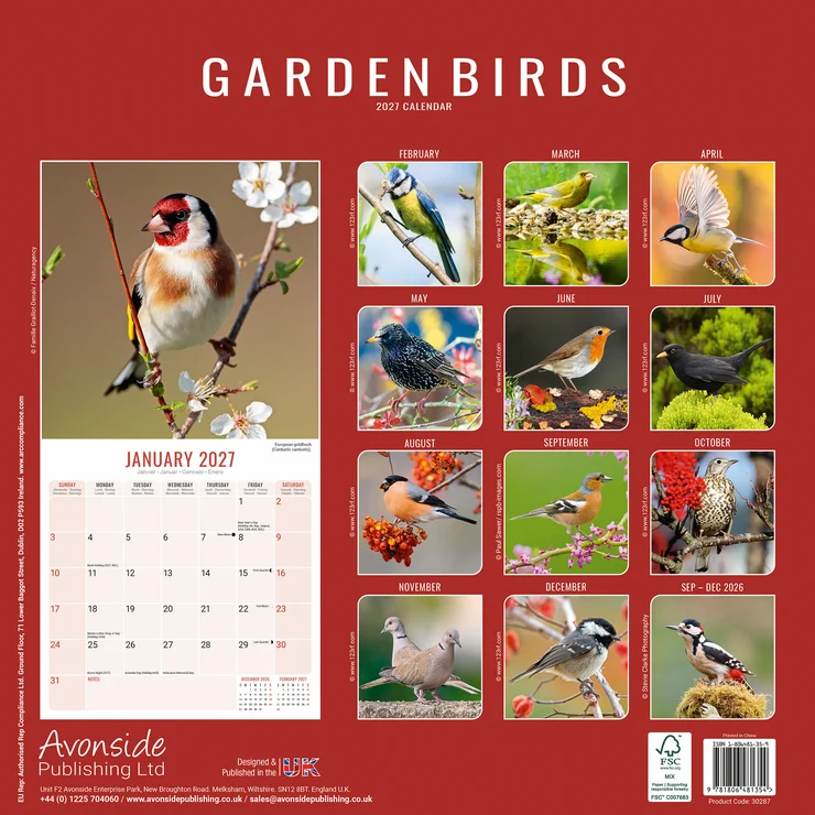 Kalender 2027 Gartenvögel - Garden Birds