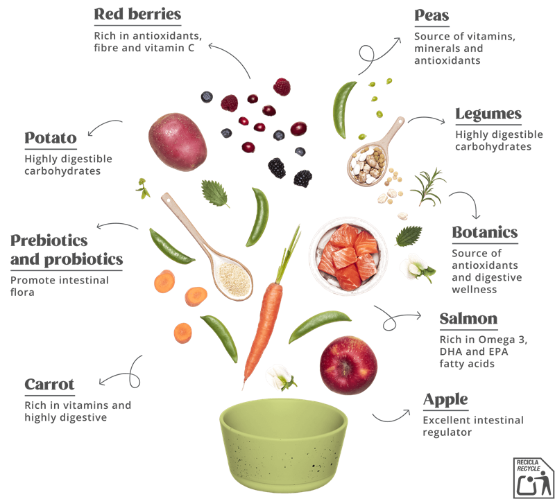 Summit10 - Adult - FRESH SALMON