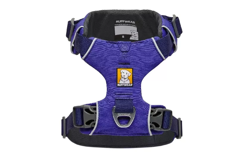 front-range-huckelberry-blue-1 Front Range Hackelberry Blue