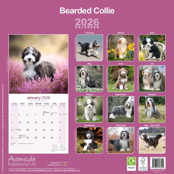 Calendar 2025 Bearded Collie - Beardie