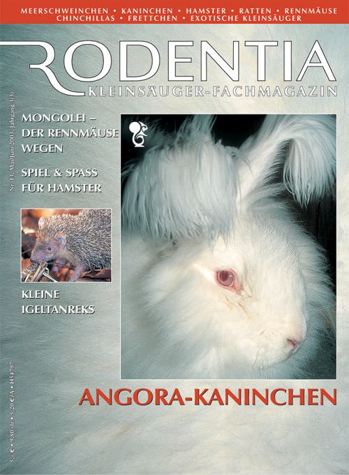Rodentia 13 - Angora-Kaninchen