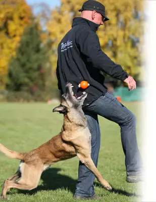 Training-1 Top-Matic Technic-Ball