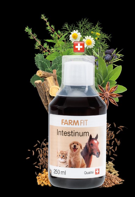 FarmFit Intestinum