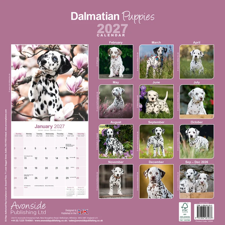 Kalender 2027 Dalmatiner - Welpe - Puppie