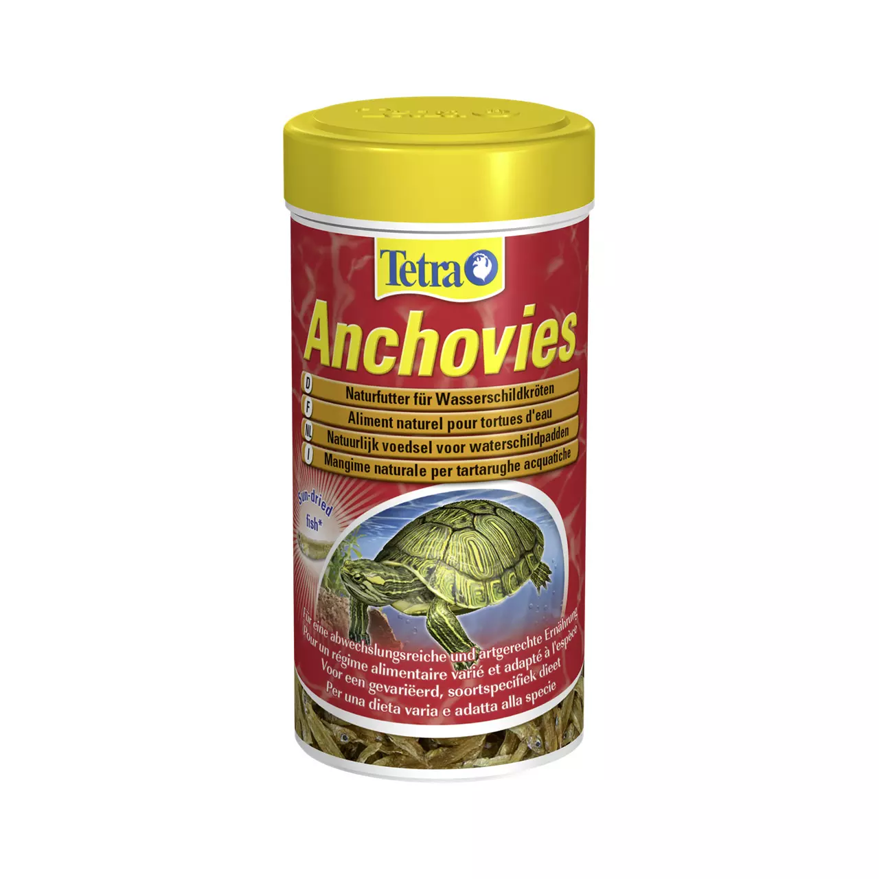 Tetra Anchovies