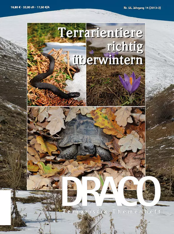 Draco 55 - Terrarientiere richtig überwintern