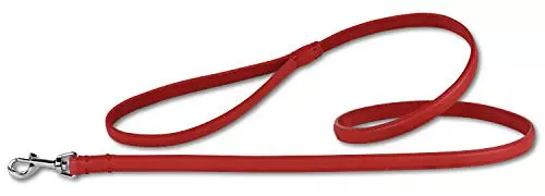 Pettarazzi Leine Rot 