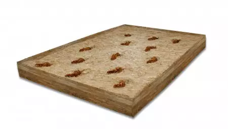 JR-FARM-Back-to-Instinct-Aktiv-Teppich-1 JR Farm Back to Instinct - Aktiv Teppich