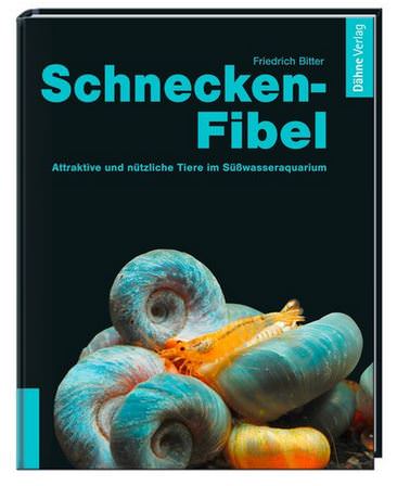 Schnecken-Fibel