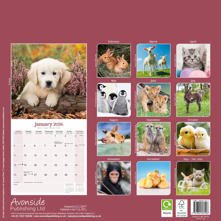 Calendar 2025 Tierkinder - Baby Animals Calendar 2025 Tierkinder - Baby Animals