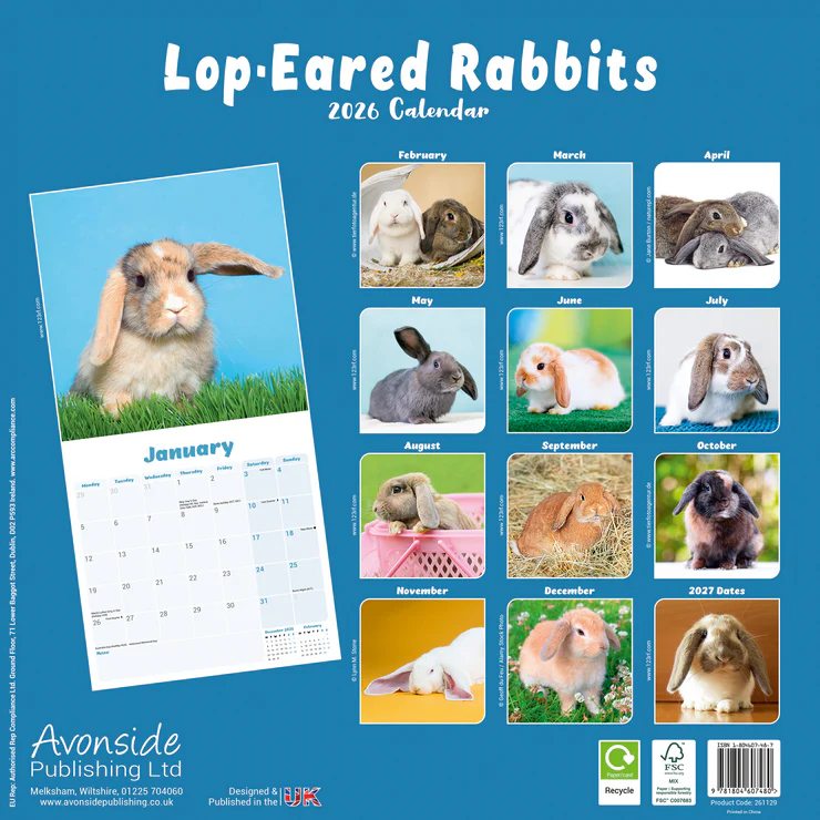 Calendar 2025 Lop-Eared Rabbits