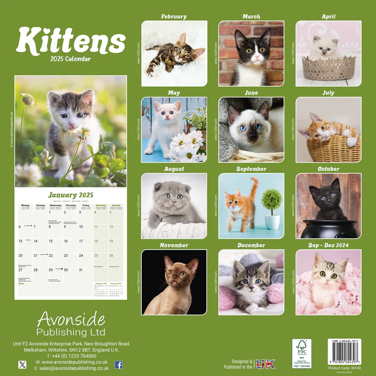 Kalender 2025 Kätzchen - Kitten Kalender 2025 Kätzchen - Kitten