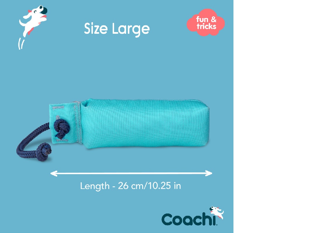 Coachi Training Dummy