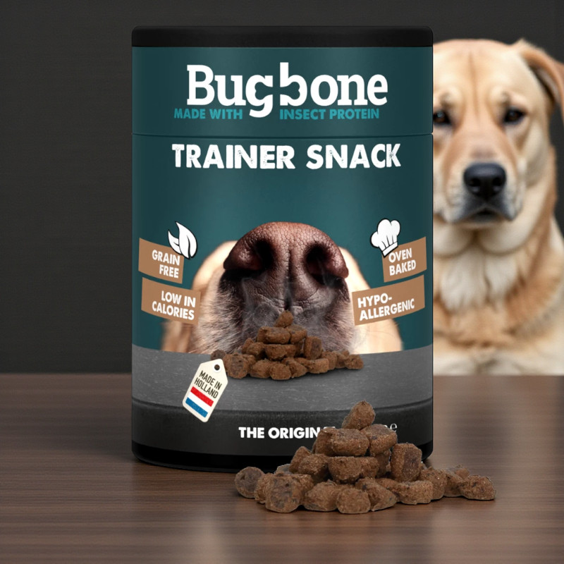 Snack Bugbone Trainer boîte de 100g 